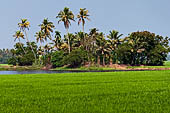 Kerala backwaters, travelling the neighborhood by public ferry service from  Alleppey to Kumbakonam. 